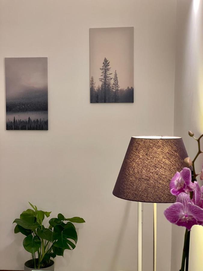 C&Y Apartments - Roma Prati - Luxury Double Studio With Kitchen Zewnętrze zdjęcie